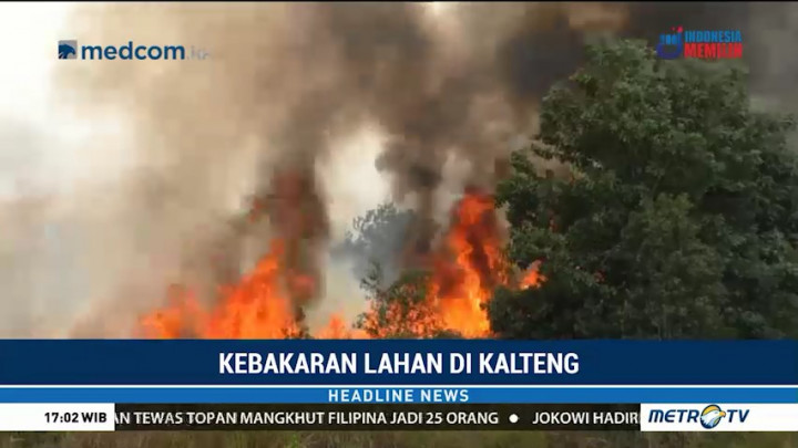 Puluhan Hektare Lahan di Dekat Kantor Wali Kota Palangka Raya Terbakar