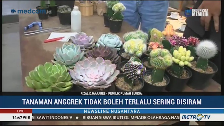 Rekreasi dan Edukasi Tanaman di Rumah Bunga