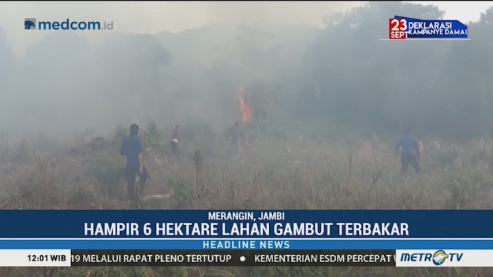Enam Hektare Lahan Gambut di Merangin Terbakar