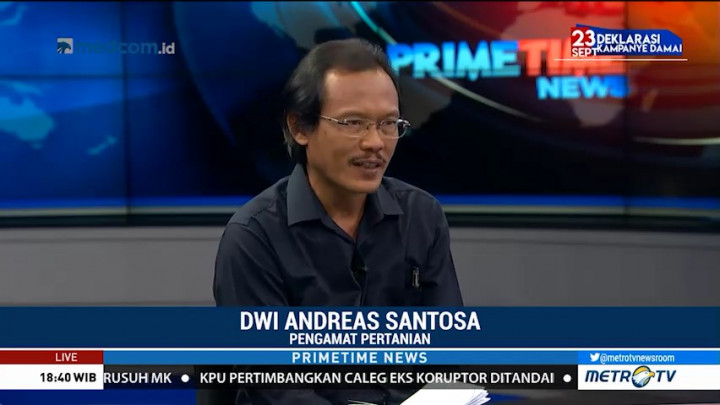 Polemik Impor Beras Diminta Tak Diperpanjang