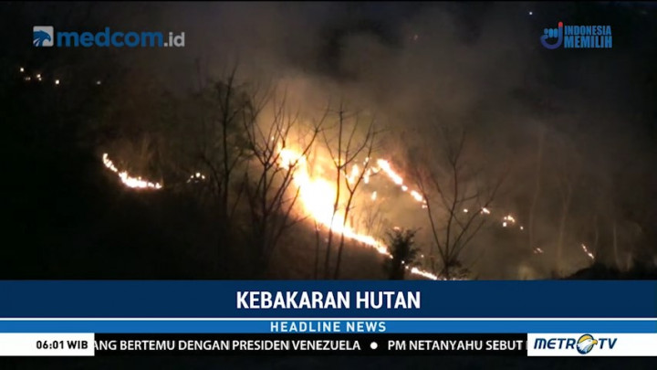 Kebakaran Lahan di Situbondo Dekati Permukiman Warga