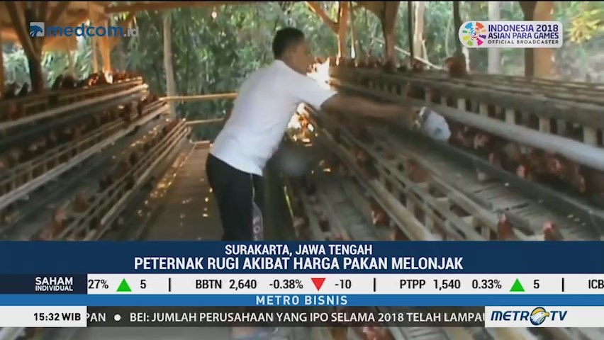 Harga Pakan Melambung, Peternak Unggas Menjerit