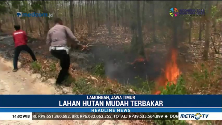 Kebakaran Lahan di Lamongan Diduga Akibat Puntung Rokok