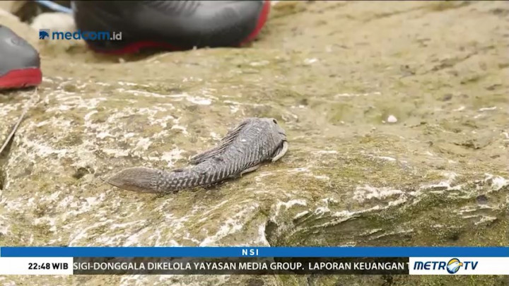 Jejak Hitam di Sungai Cileungsi (4)