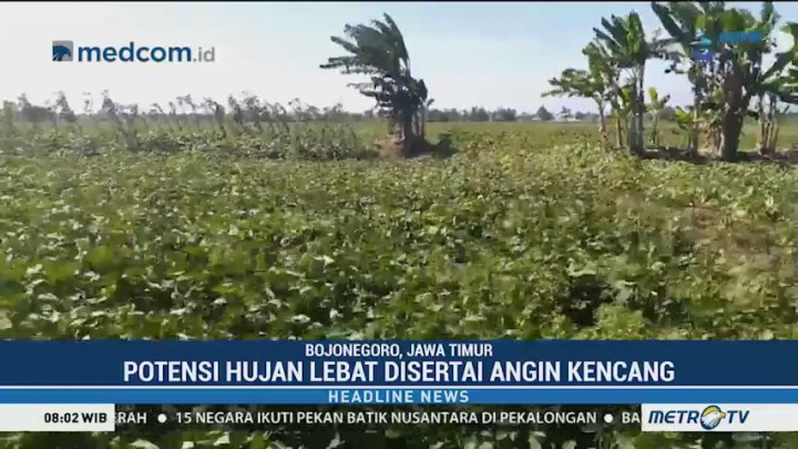 BPBD Bojonegoro Imbau Warga Waspada Angin Pancaroba