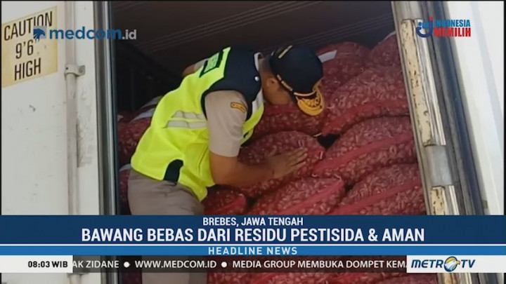 Balai Karantina Pertanian Semarang Sidak Gudang Bawang Merah Ekspor