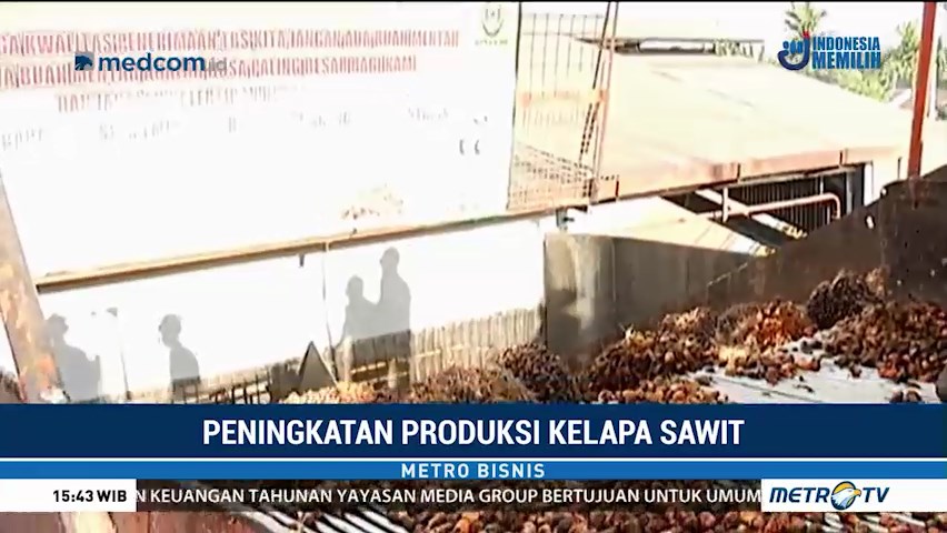 PT Wilmar Siap Tingkatkan Produksi Kelapa Sawit
