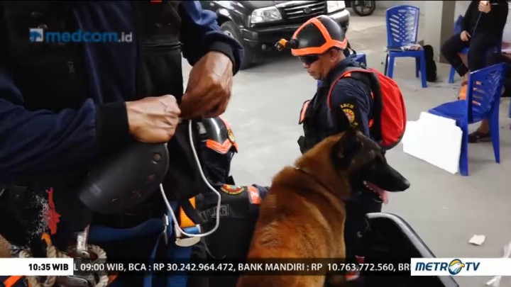 Loyalitas Tanpa Batas (1)