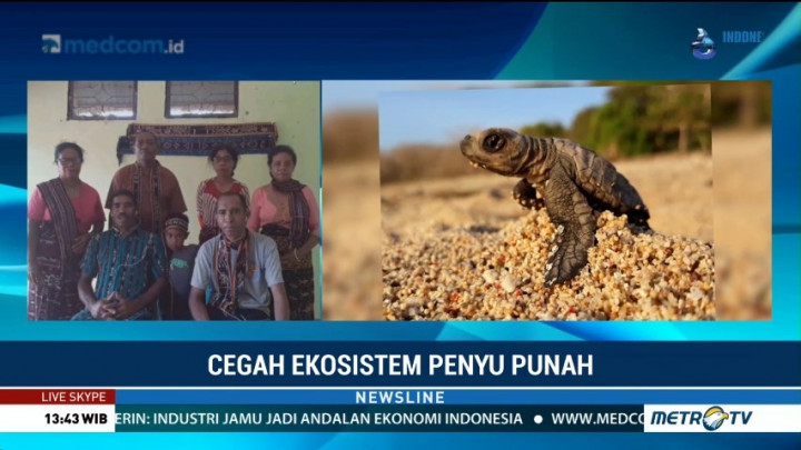 Cegah Ekosistem Penyu Punah