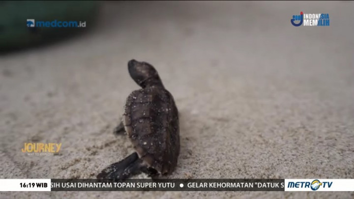 Journey to Taman Nasional Karimunjawa (2)