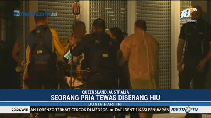 Seorang Pria Tewas Diserang Hiu di Perairan Australia