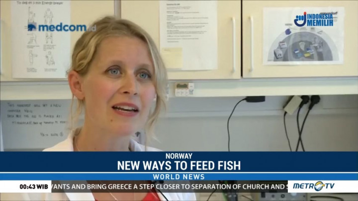 New Ways to Feed Fish