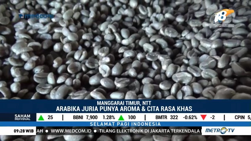 Nikmatnya Kopi Arabika Juria Colol