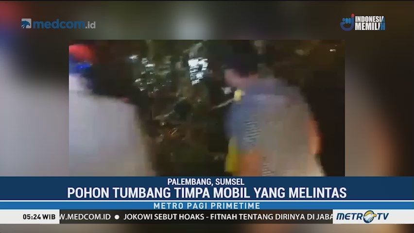 Pohon Tumbang Timpa Kendaraan di Palembang, Satu Orang Luka