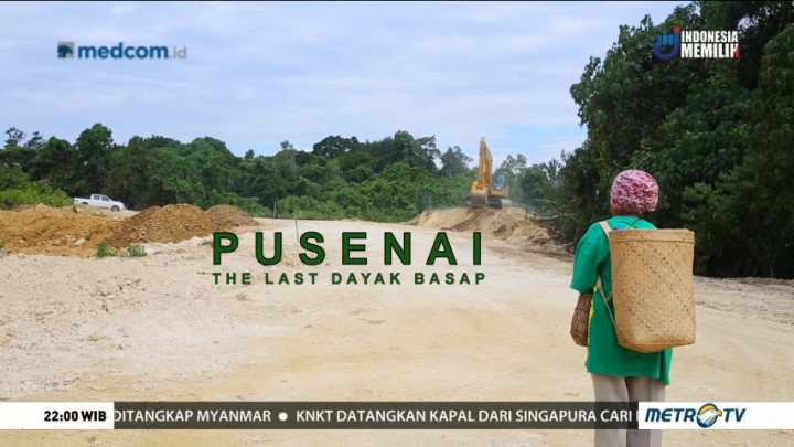 Pusenai, The Last Dayak Basap (3)