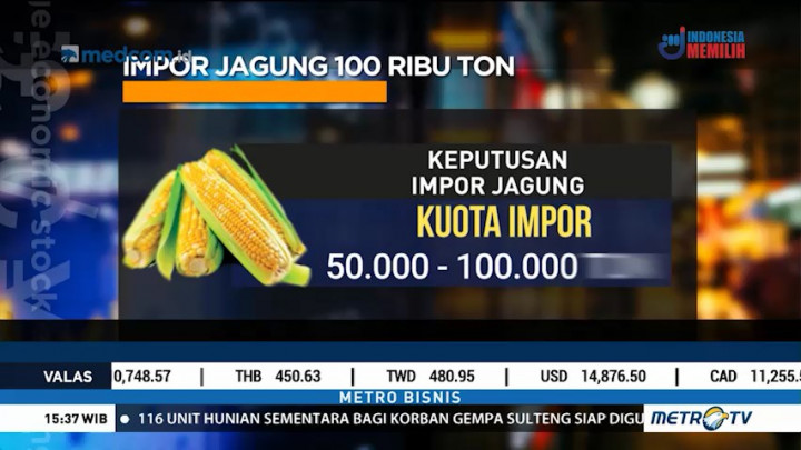 Impor Jagung, Stabilkan Harga Pakan Ternak
