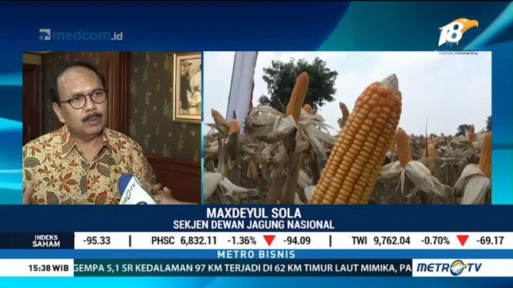 Dewan Jagung Nasional Sambut Positif Pemerintah Impor Jagung 100 Ribu Ton