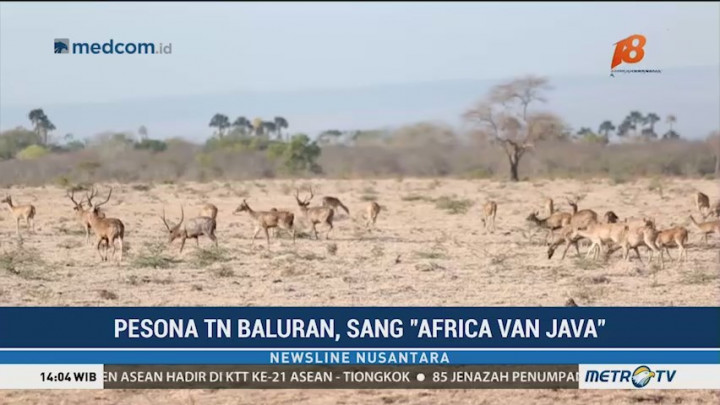 Pesona Africa van Java (1)