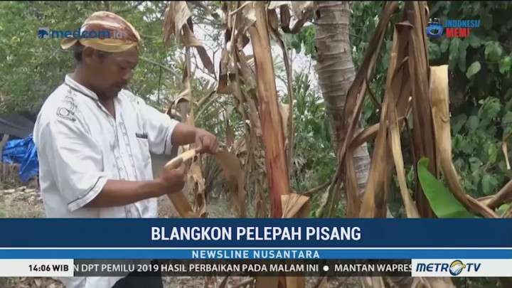 Hiasan Unik, Blangkon dari Pelepah Pisang