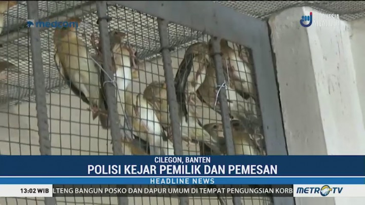 Balai Karantina Cilegon Gagalkan Penyelundupan Ribuan Burung