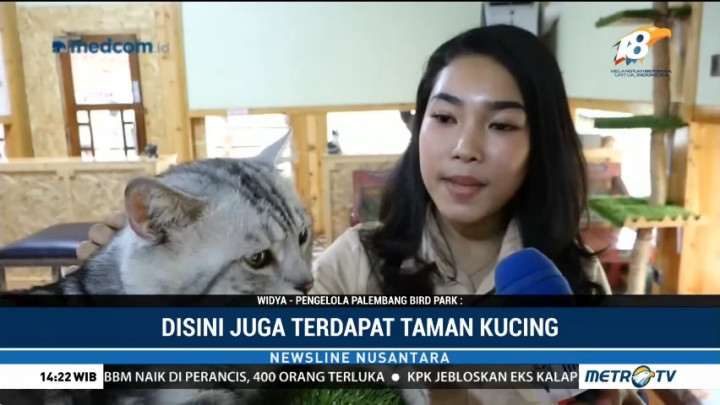 Serunya Wisata Sembari Belajar Mengenal Hewan