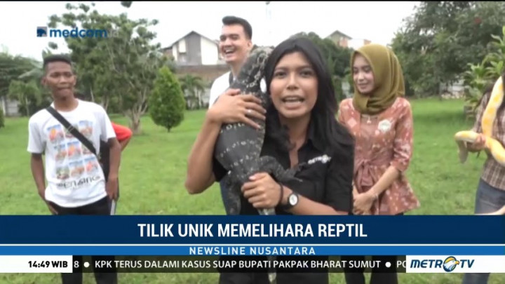 Tilik Unik Memelihara Reptil