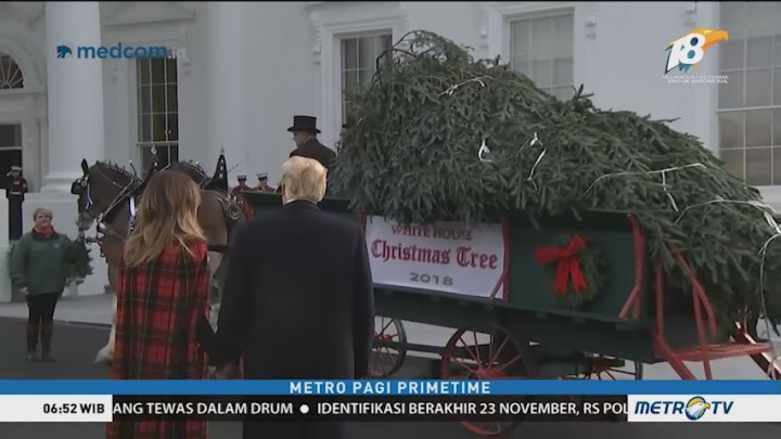 Trump dan Melania Sambut Pohon Natal untuk Gedung Putih