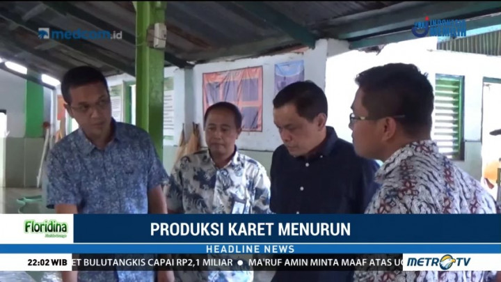 Produksi Karet di Jember Turun Hingga 10 Persen