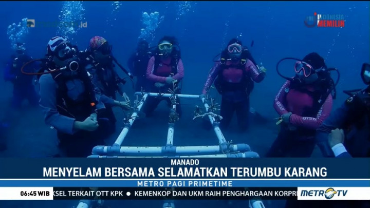 Jaga Biota Laut, Polda Sulut Lakukan Transplantasi Terumbu Karang