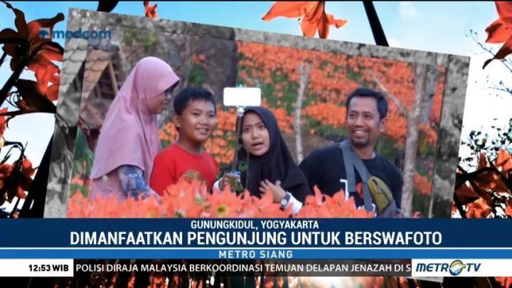 Asyiknya Berswafoto di Taman Bunga Amarilis