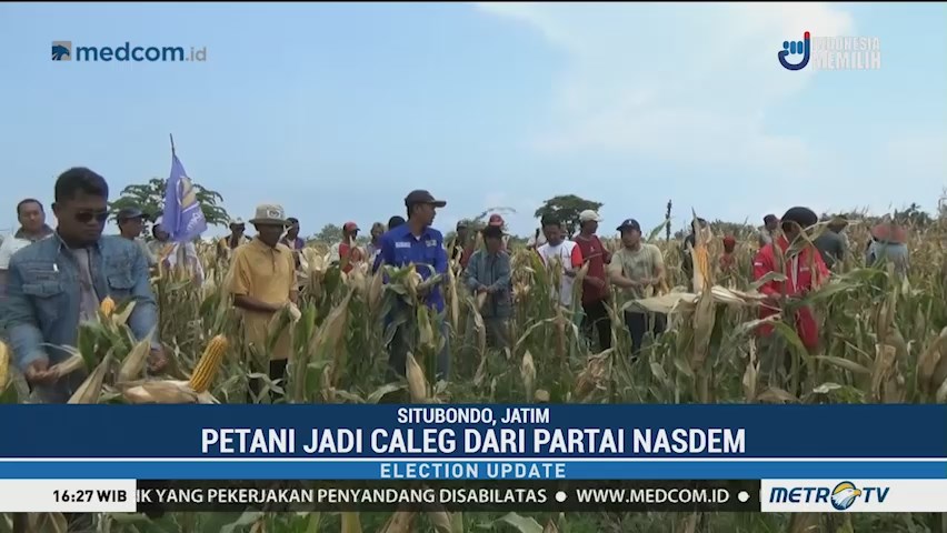 Caleg NasDem Siap Perjuangkan Nasib Petani Jagung di Situbondo