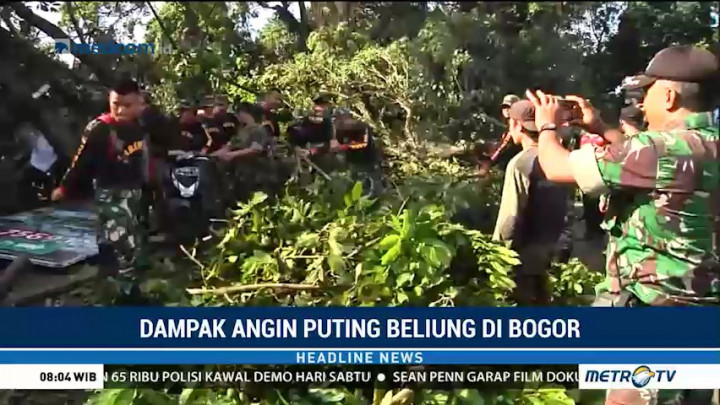 Petugas Bersihkan Pohon Tumbang Akibat Puting Beliung di Bogor