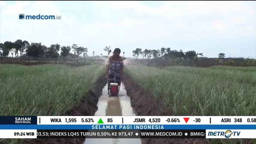 Inovasi Alat Penyiram Bawang Merah