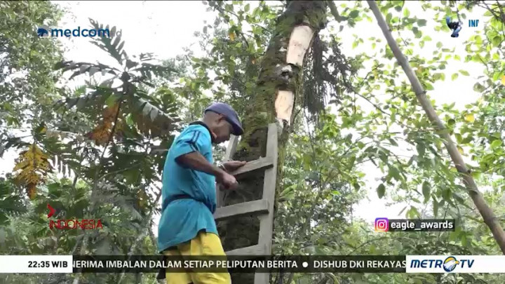 Cerita dari Negeri Bupolo (1)