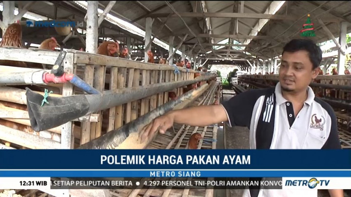 Kenaikan Harga Jagung Bebani Peternak