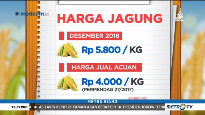 Harga Jagung Masih Tinggi