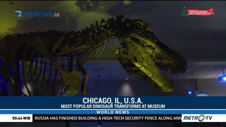 World's Most Popular Dinosaur Transforms at Chicago's Field Museum