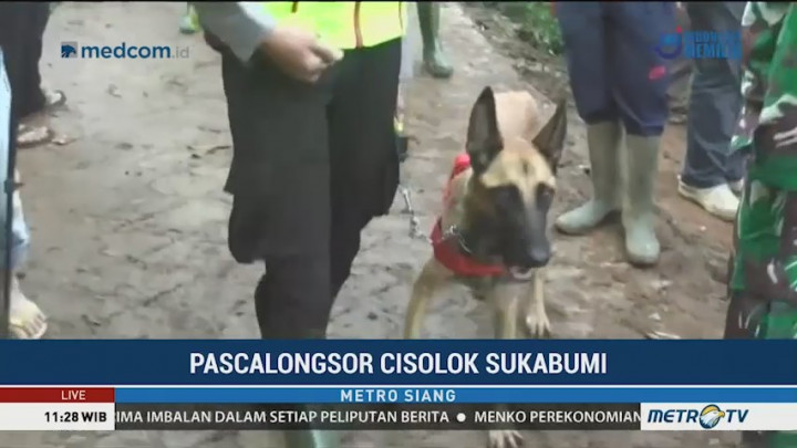 Anjing Pelacak Dikerahkan untuk Cari Korban Longsor Sukabumi