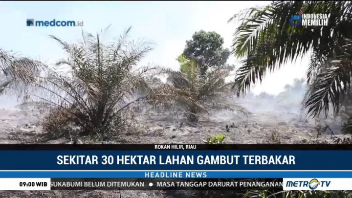 30 Hektare Lahan Gambut di Rokan Hilir Hangus Terbakar