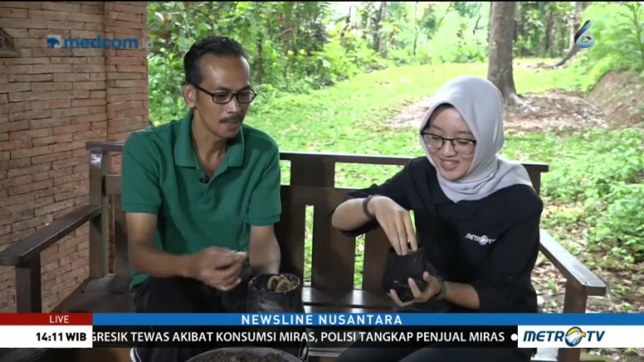 Potensi Pasar Durian Jawa