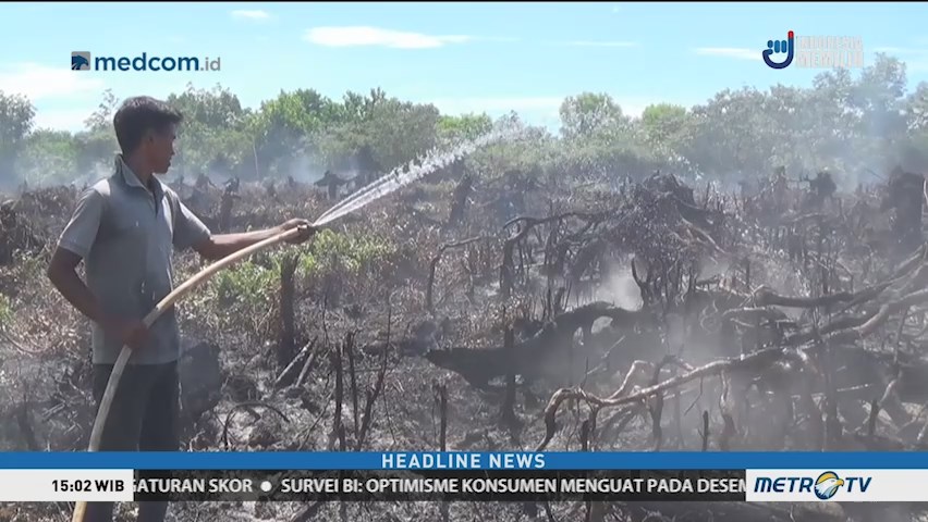 Kebakaran Lahan Gambut di Aceh Barat Terus Meluas
