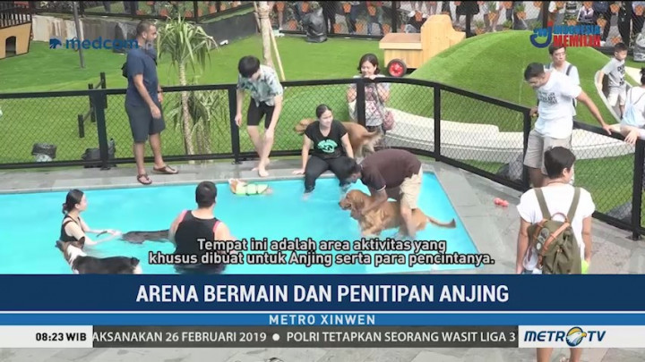 Berkunjung ke Tempat Bermain dan Penitipan Anjing
