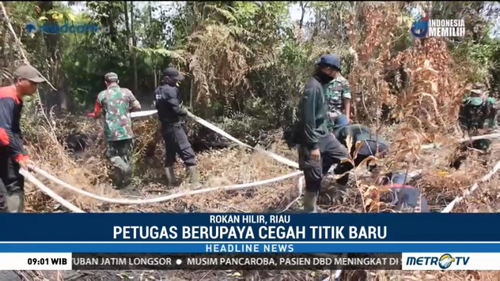 4 Hektare Lahan Gambut di Rokan Hilir Terbakar