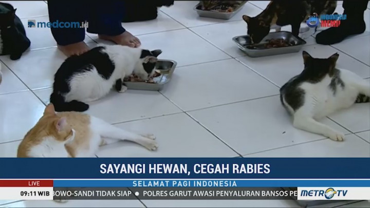 Sayangi Hewan, Cegah Rabies (2)
