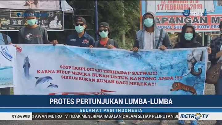 Komunitas Pecinta Satwa Protes Atraksi Lumba-lumba di Pekanbaru