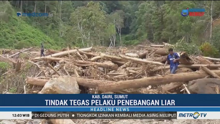 Ribuan Kubik Kayu Gelondongan Hasil Penebangan Liar di Dairi Masih Menumpuk