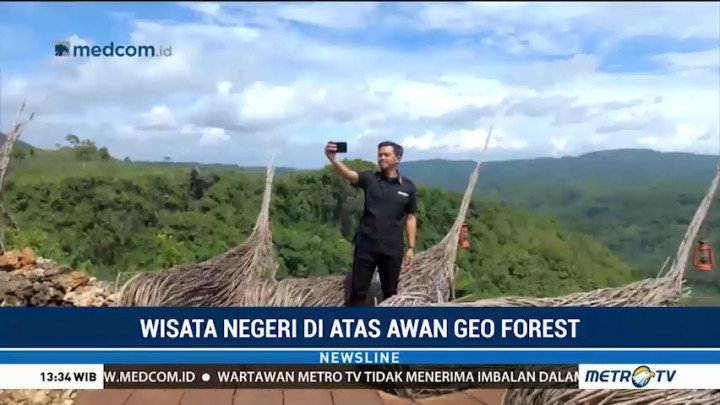 Wisata Negeri di Atas Awan Geoforest Watu Payung