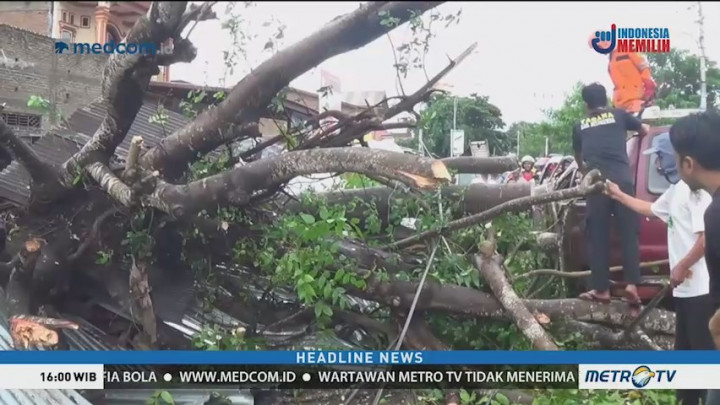 Pohon Tumbang Timpa Mobil di Bulukumba, 2 Orang Terluka