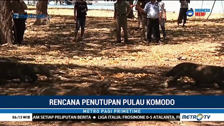Pemerintah NTT Berencana Tutup Taman Nasional Komodo Selama Setahun