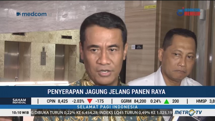 Jelang Panen Raya, Pemerintah Buat Skema Penyerapan Beras dan Jagung